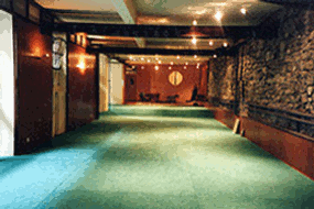 Le tatami du dojo vu depuis l'entrée